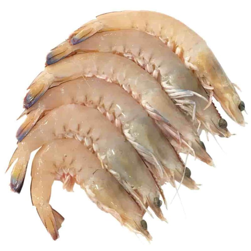 Chapra Chingri