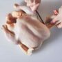 Chicken Whole cut in Pieces - Image 2
