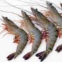 PRAWNS